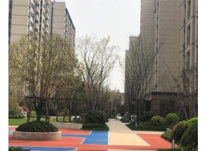 無錫園路